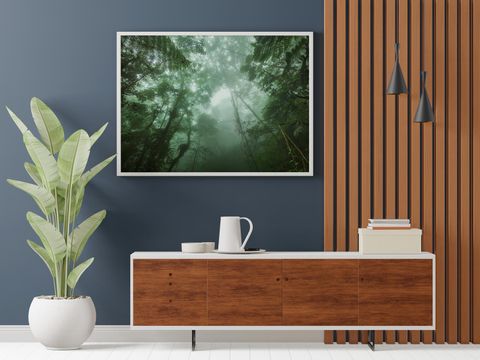 Rain Forest Fine Art Print