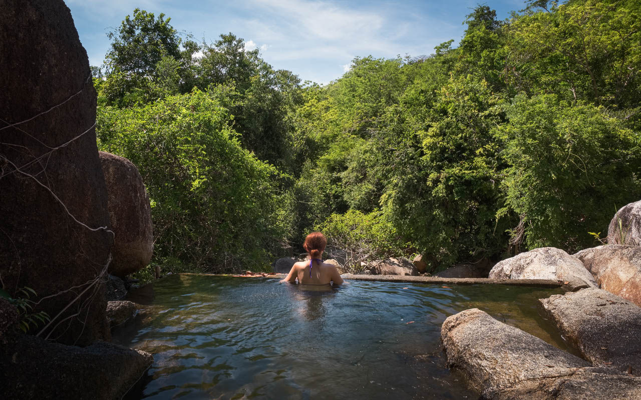 Jungle Pool