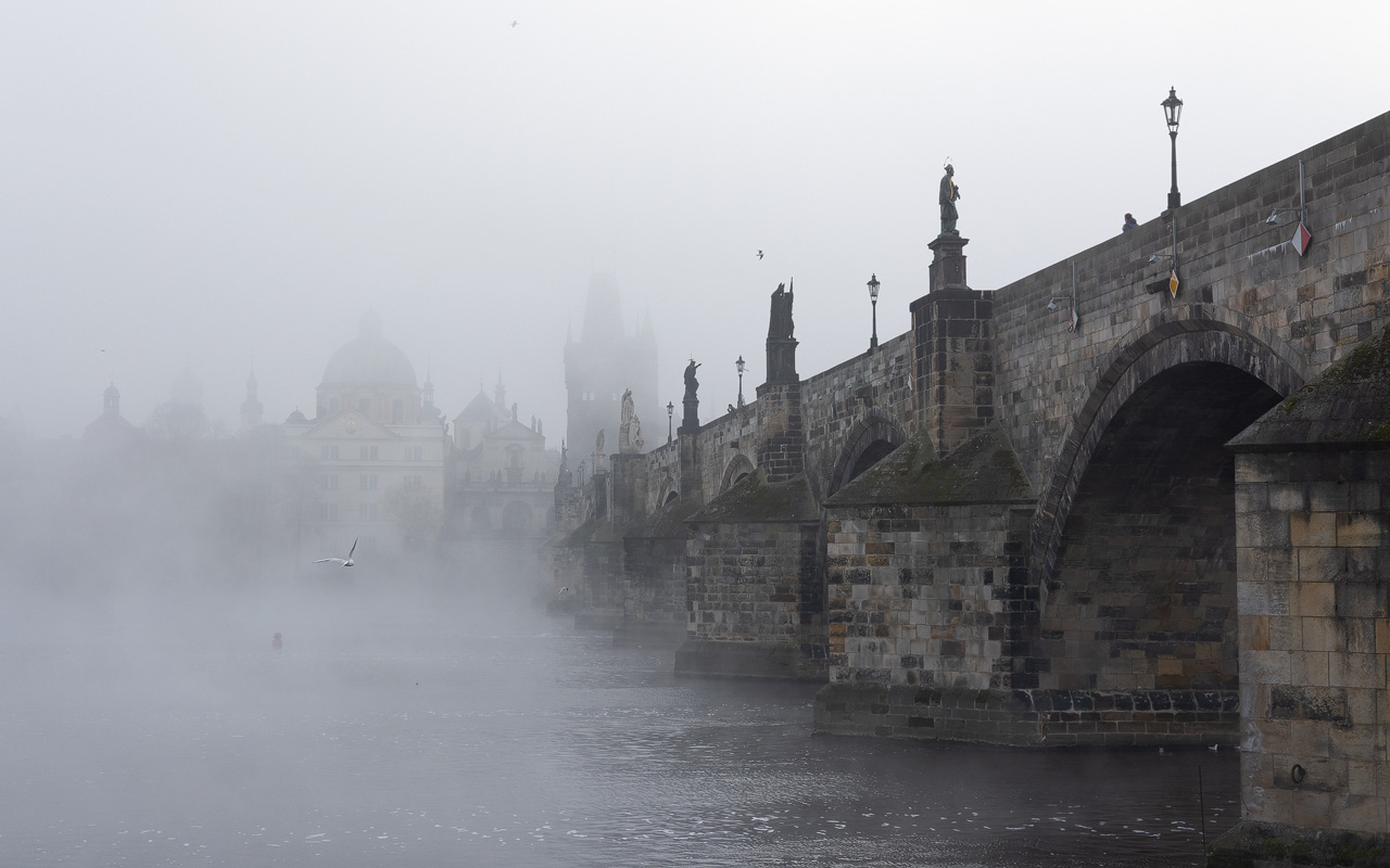 Before Lightroom Edit