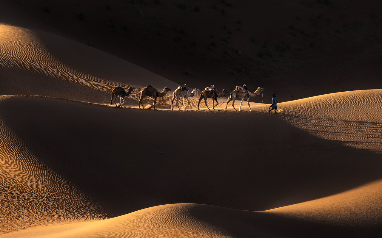 A caravan walks through the dunes, lit by beautiful golden light.